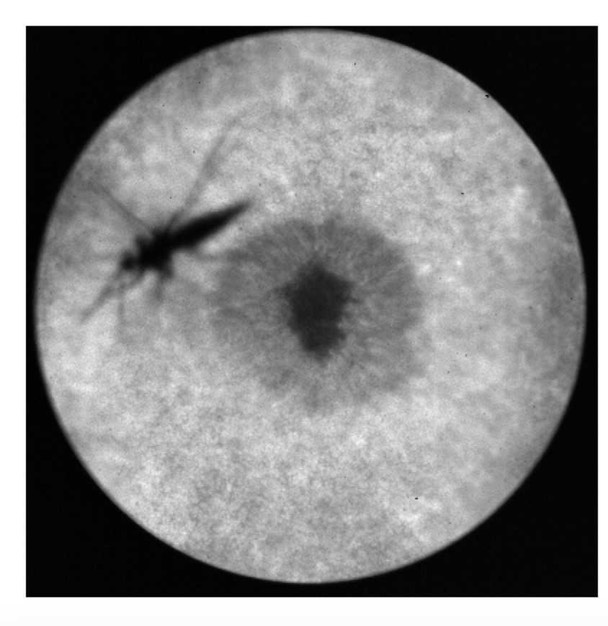 380343780 205374985923605 8520790895990053168 n (1)