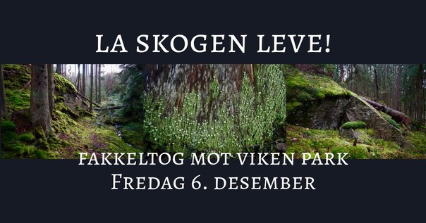 Fakkeltog