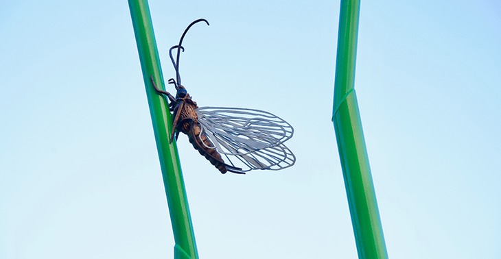 malmheim_vårflue_web