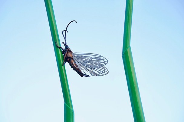 malmheim_vårflue_web