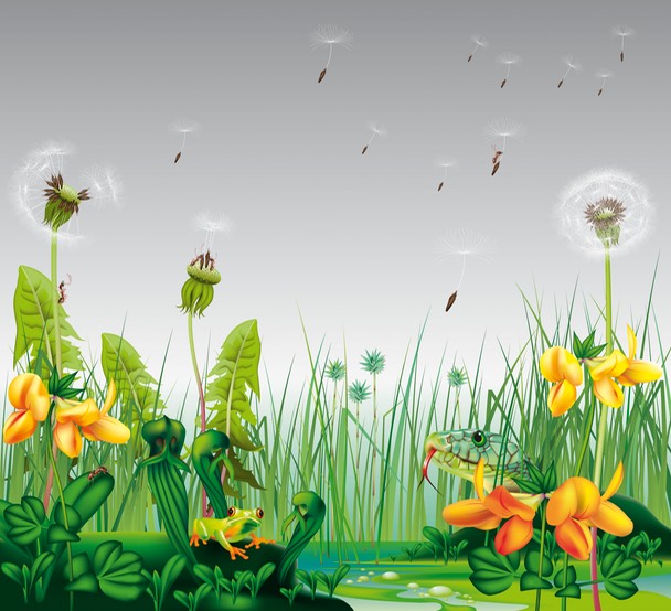 musikkrommet 1 5liten